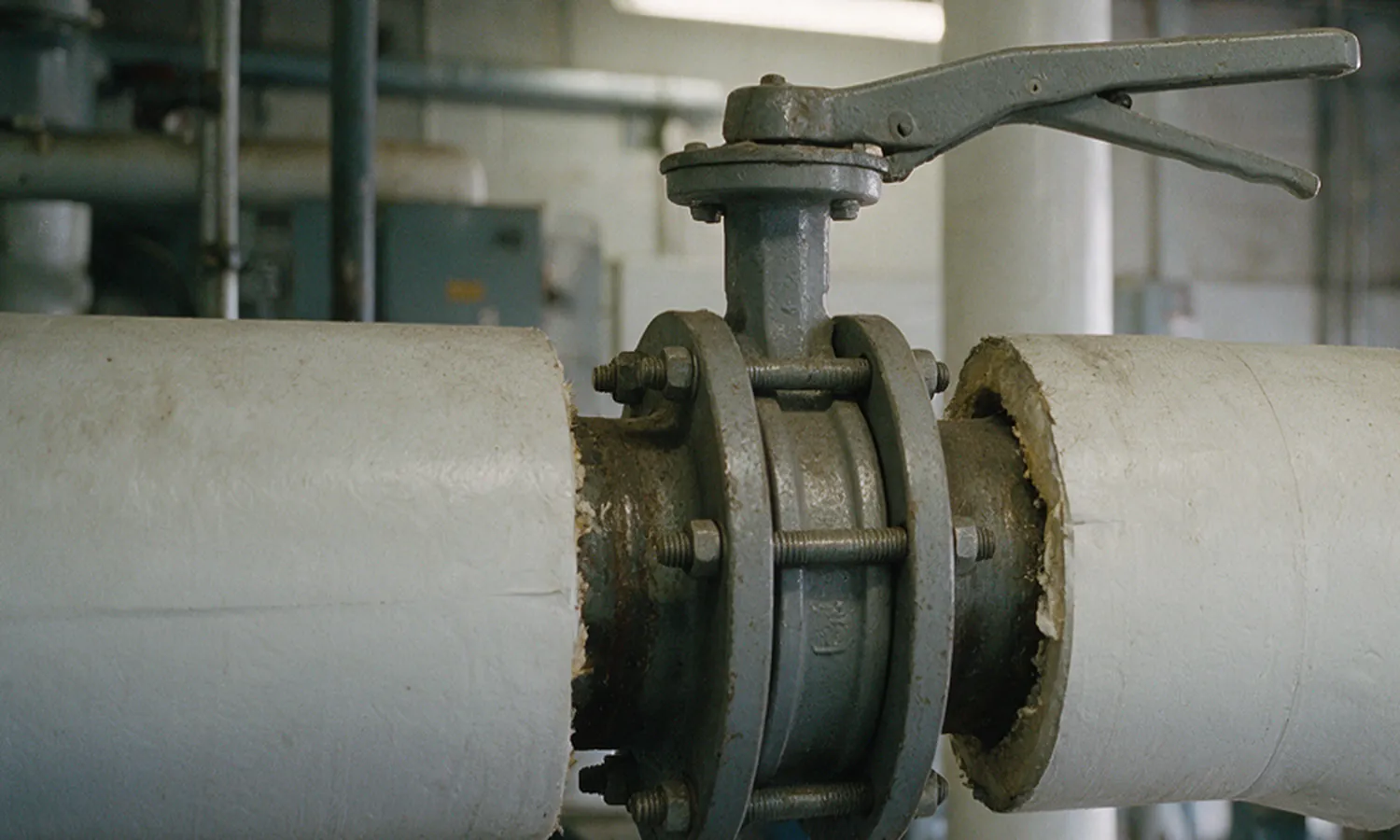 A wafer butterfly valve with a notched lever, clamped between two pipe flanges by long through-studs on insulated pipework